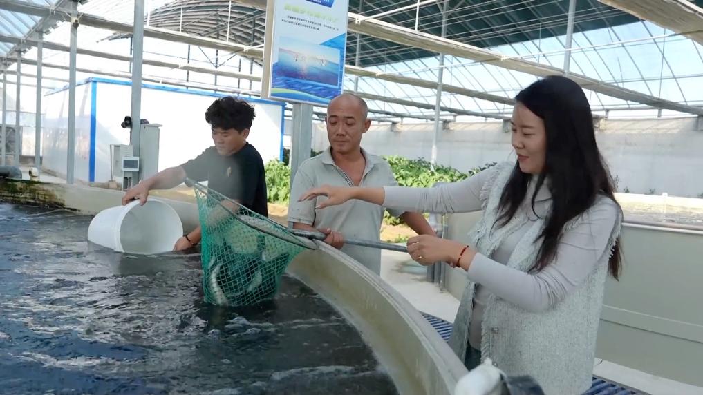 
北京空军总医院黄牛代挂号电话票贩子号贩子网上预约挂号,住院检查加快,新华视点｜特色农业挖潜力 丰收喜悦满田间
