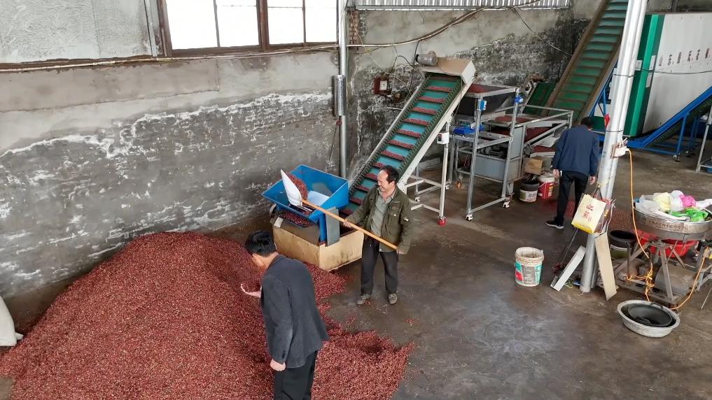 
北京空军总医院黄牛代挂号电话票贩子号贩子网上预约挂号,住院检查加快,新华视点｜特色农业挖潜力 丰收喜悦满田间