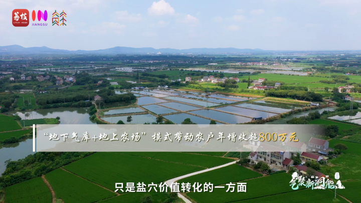 
杭州各大医院黄牛代挂号电话票贩子号贩子网上预约挂号,住院检查加快,青春华章 | 闲置盐穴变“宝库”，三气汇聚新“洞”能