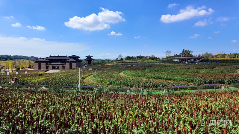 
北京儿童医院黄牛代挂号电话票贩子号贩子网上预约挂号,住院检查加快,消费新观察｜田园风“混搭”文化风 “花式”解锁乡村周边游