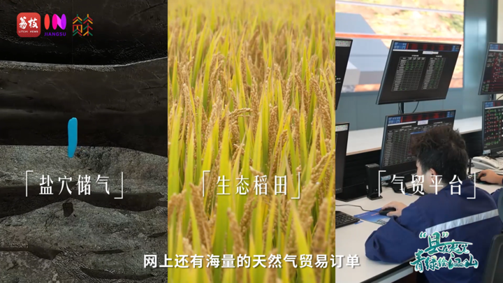 
杭州各大医院黄牛代挂号电话票贩子号贩子网上预约挂号,住院检查加快,青春华章 | 闲置盐穴变“宝库”，三气汇聚新“洞”能
