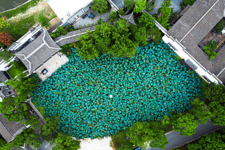 
浙江第二医院黄牛代挂号电话票贩子号贩子网上预约挂号,住院检查加快,青春华章 |【小苏说·家乡水】 长江“最美转身” 托起“绿意生机”