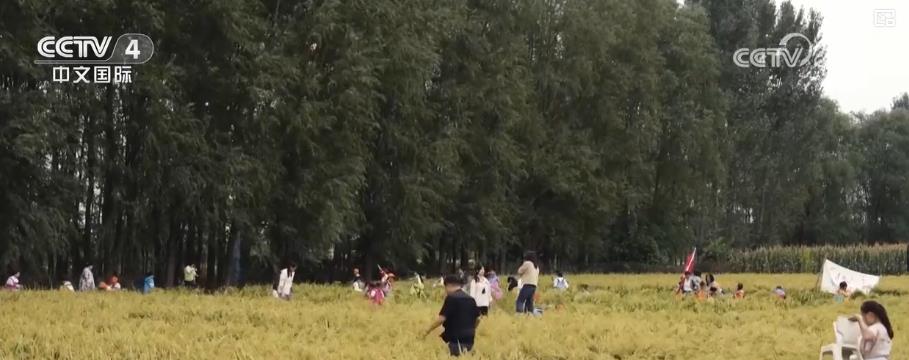 
南京儿童医院黄牛代挂号电话票贩子号贩子网上预约挂号,住院检查加快,人气旺、活力足！双节假期文旅消费热潮涌动 假日经济持续升温