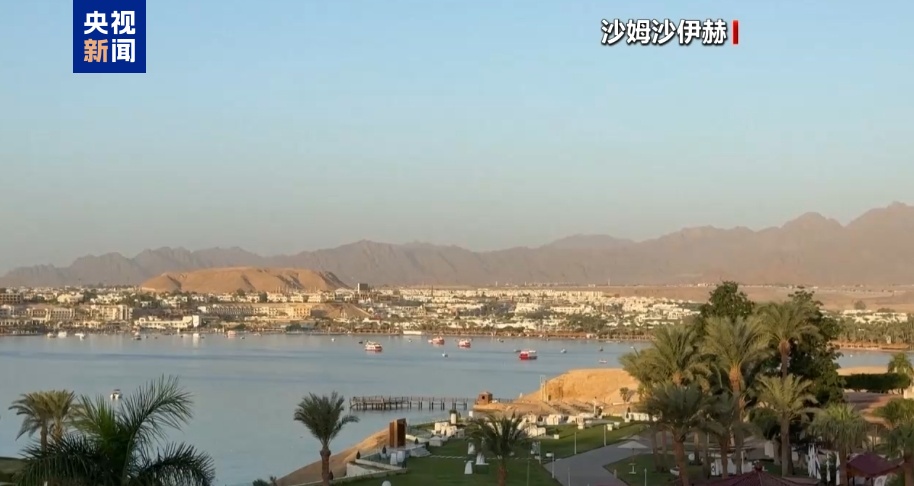 
二龙路肛肠医院黄牛代挂号电话票贩子号贩子网上预约挂号,住院检查加快,哈马斯代表团：与以色列间接谈判取得积极进展