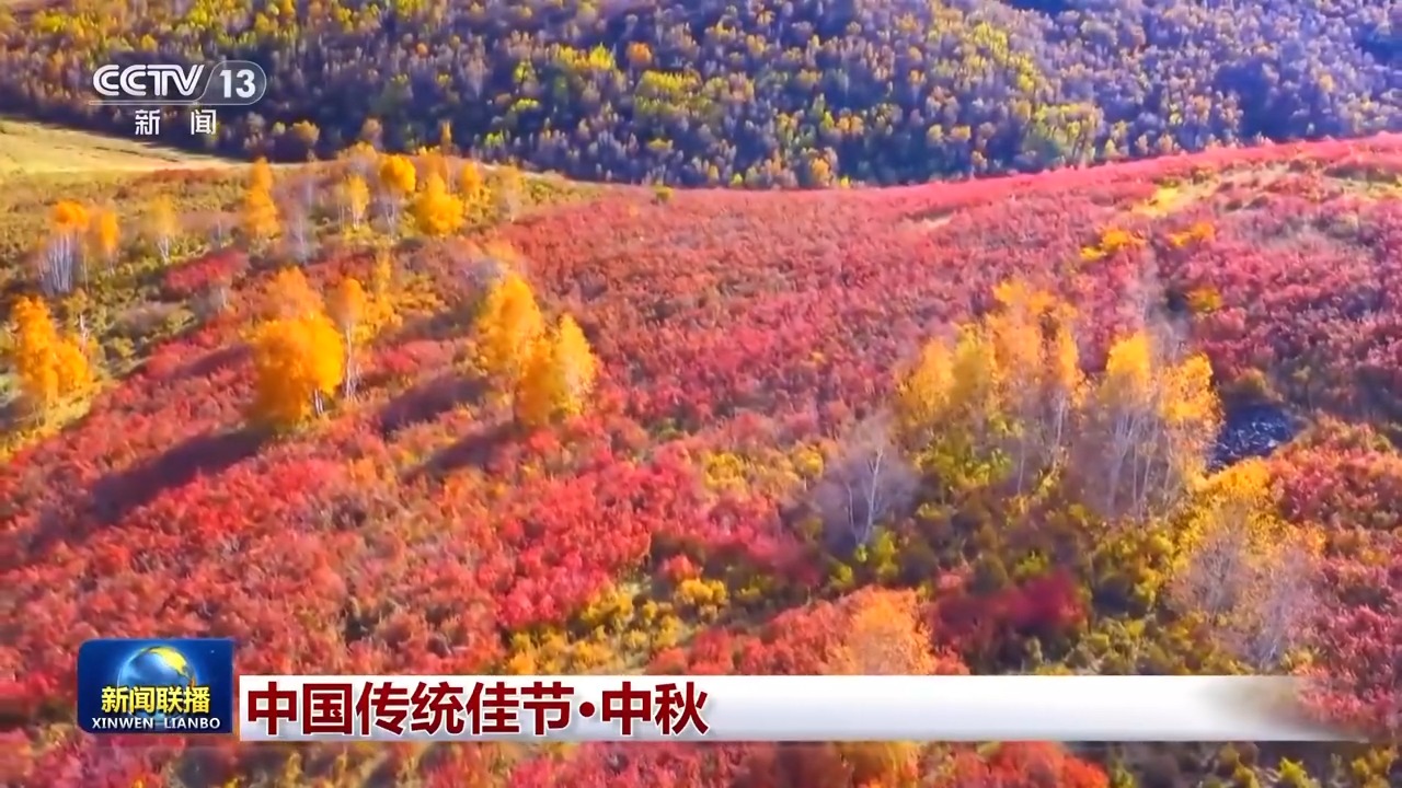 
杭州西溪医院黄牛代挂号电话票贩子号贩子网上预约挂号,住院检查加快,文化中国行丨赏桂花、吃月饼……一起感受中秋节的文化之美