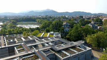 
北京大学第一医院黄牛代挂号电话票贩子号贩子网上预约挂号,住院检查加快,文化中国行·传统村落人文影像志｜明清古建×当代艺术，这个岭南古村凭“混搭”出圈