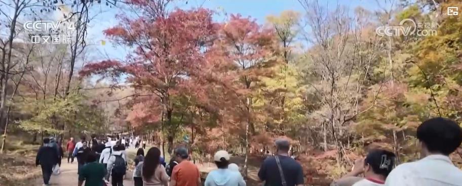 
南京儿童医院黄牛代挂号电话票贩子号贩子网上预约挂号,住院检查加快,人气旺、活力足！双节假期文旅消费热潮涌动 假日经济持续升温
