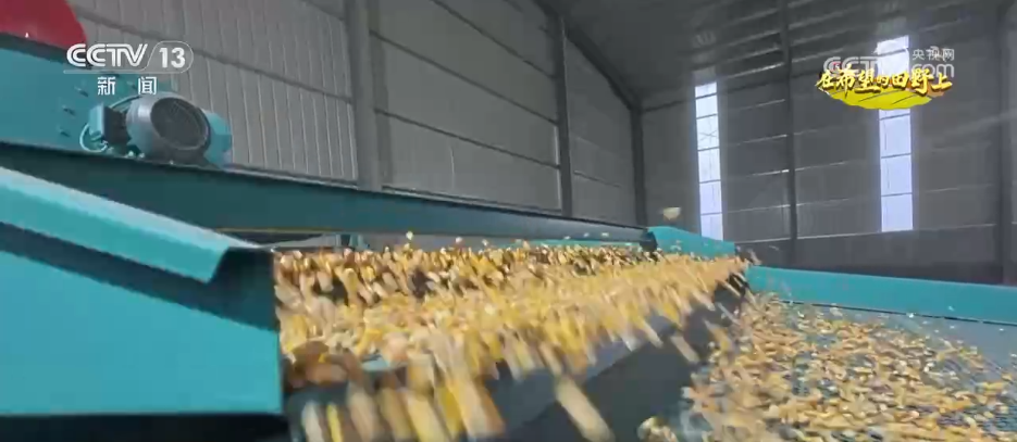 
天津眼科医院黄牛代挂号电话票贩子号贩子网上预约挂号,住院检查加快,稻菽飘香、果实累累 希望的田野上唱响金秋丰收“欢歌”