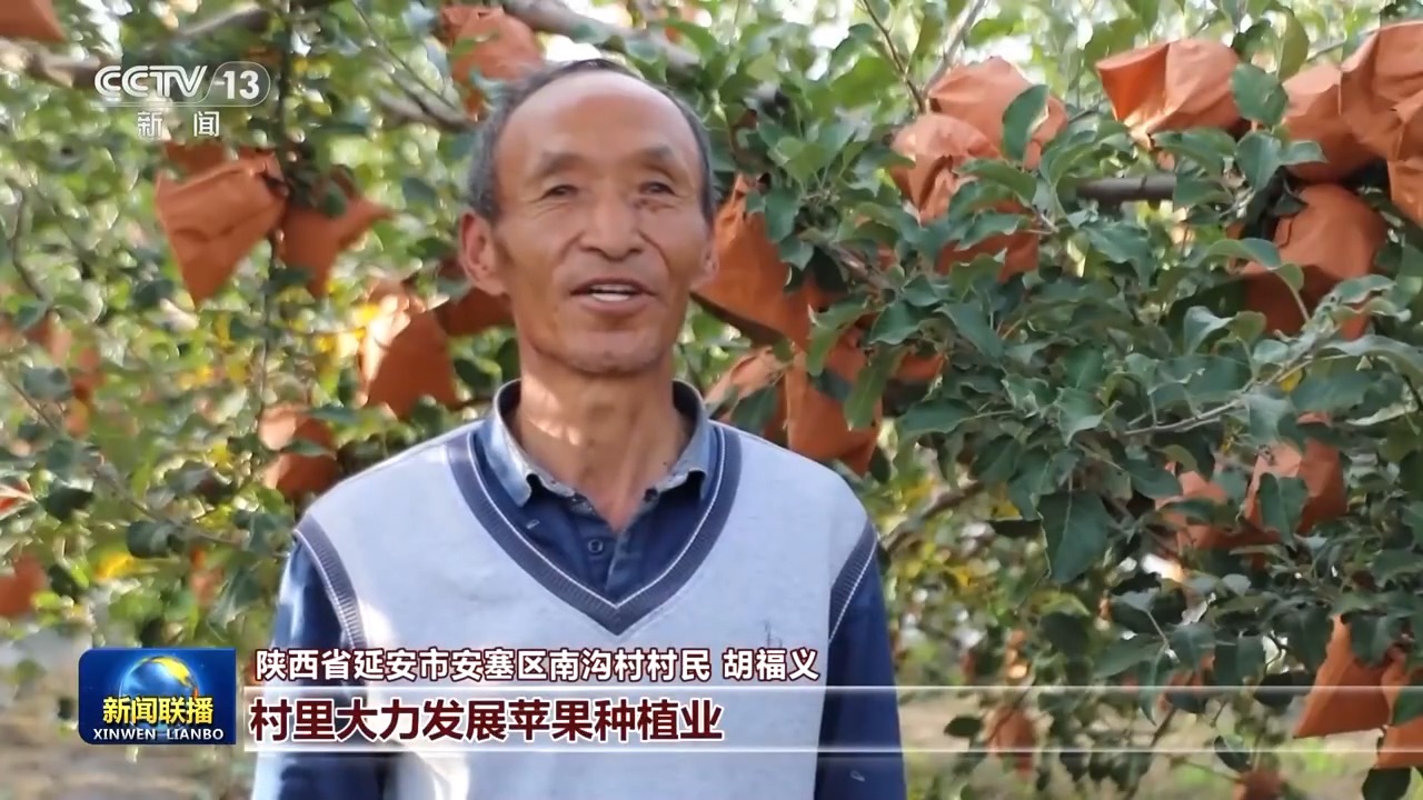 
杭州市富阳中医骨伤医院黄牛代挂号电话票贩子号贩子网上预约挂号,住院检查加快,新思想引领新征程丨绘就乡村全面振兴壮美画卷