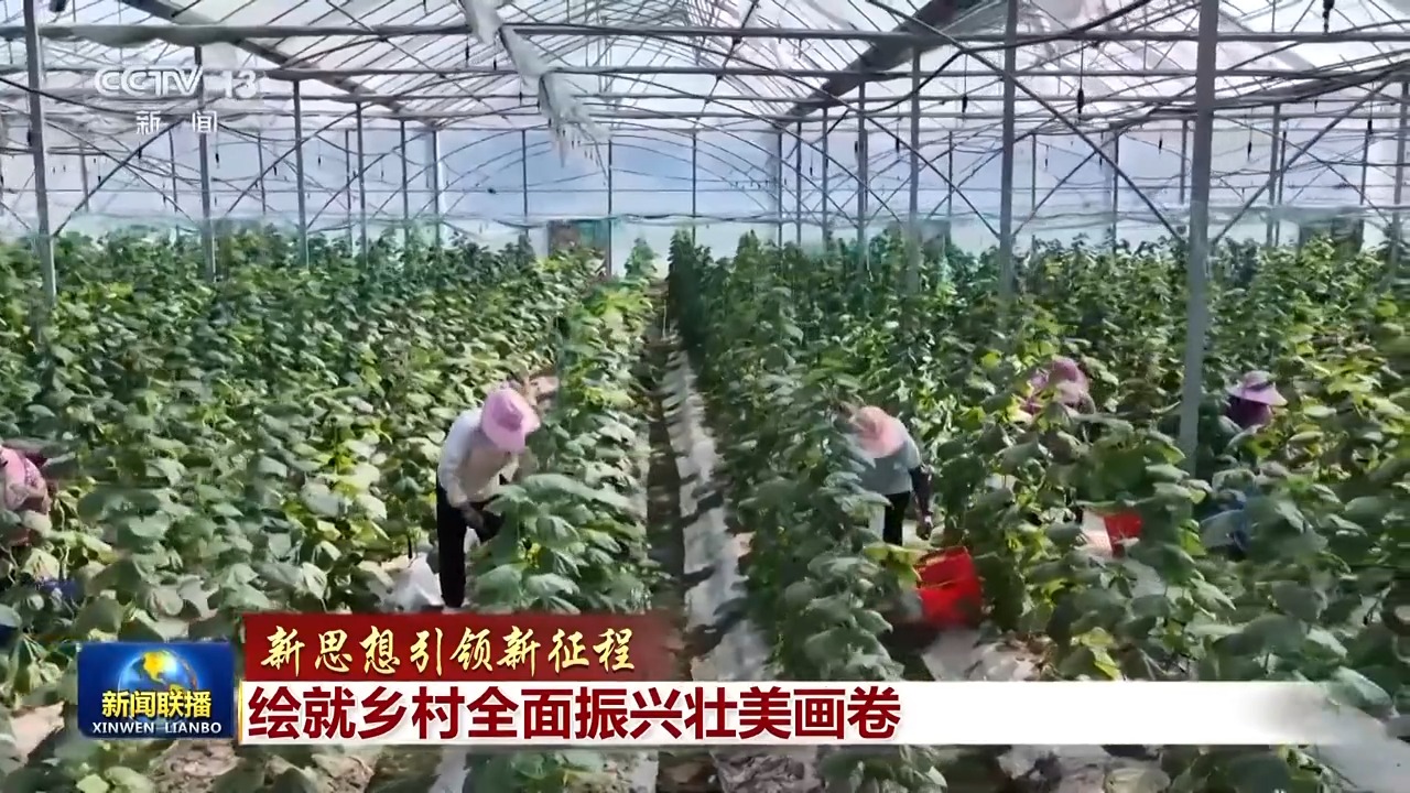 
杭州市富阳中医骨伤医院黄牛代挂号电话票贩子号贩子网上预约挂号,住院检查加快,新思想引领新征程丨绘就乡村全面振兴壮美画卷