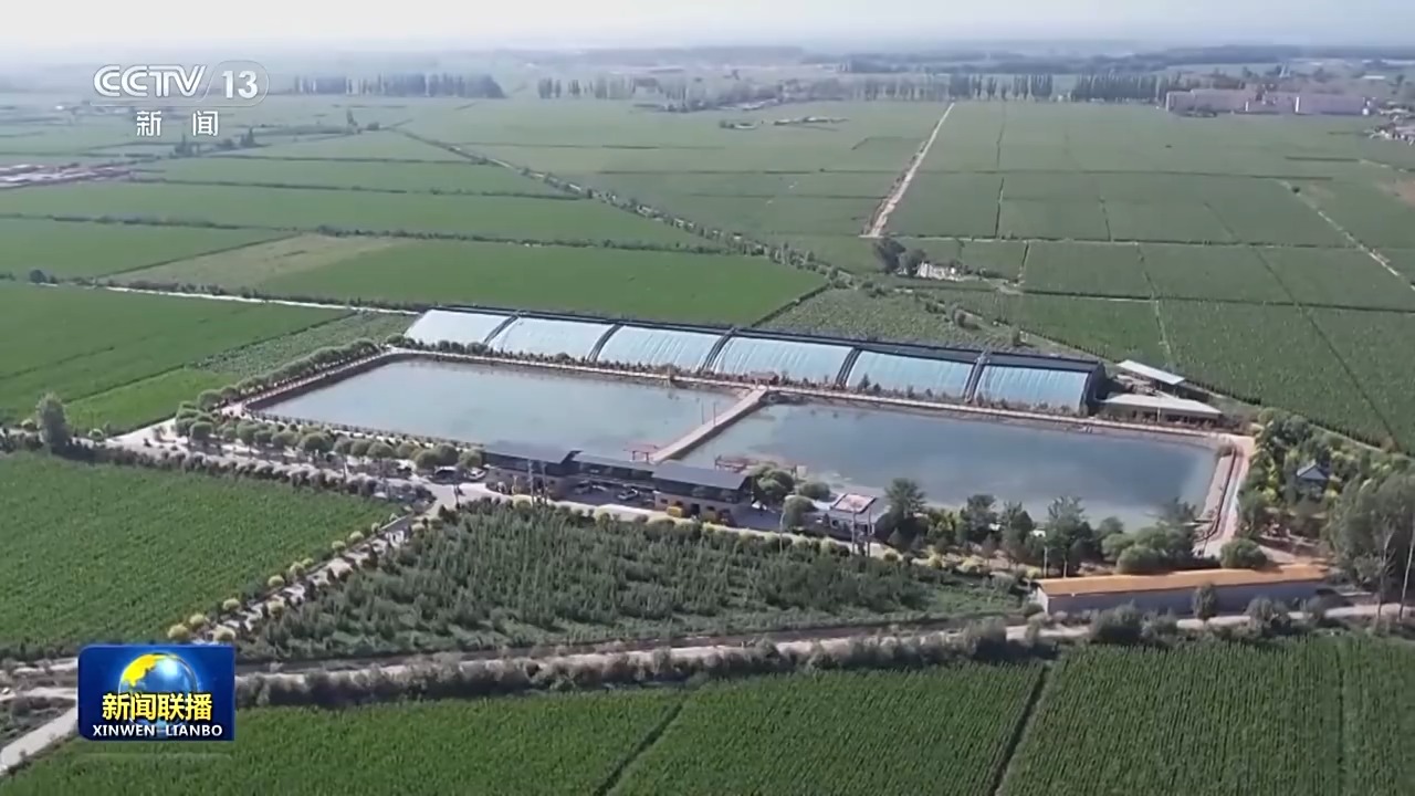 
杭州市富阳中医骨伤医院黄牛代挂号电话票贩子号贩子网上预约挂号,住院检查加快,新思想引领新征程丨绘就乡村全面振兴壮美画卷
