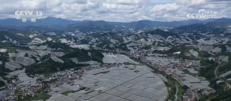 
天津眼科医院黄牛代挂号电话票贩子号贩子网上预约挂号,住院检查加快,稻菽飘香、果实累累 希望的田野上唱响金秋丰收“欢歌”