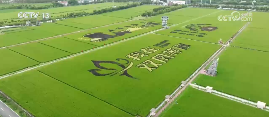 
中国人民解放军总医院黄牛代挂号电话票贩子号贩子网上预约挂号,住院检查加快,“丰收消费”打造农文旅融合新场景、新业态 打开田间地头增收新空间
