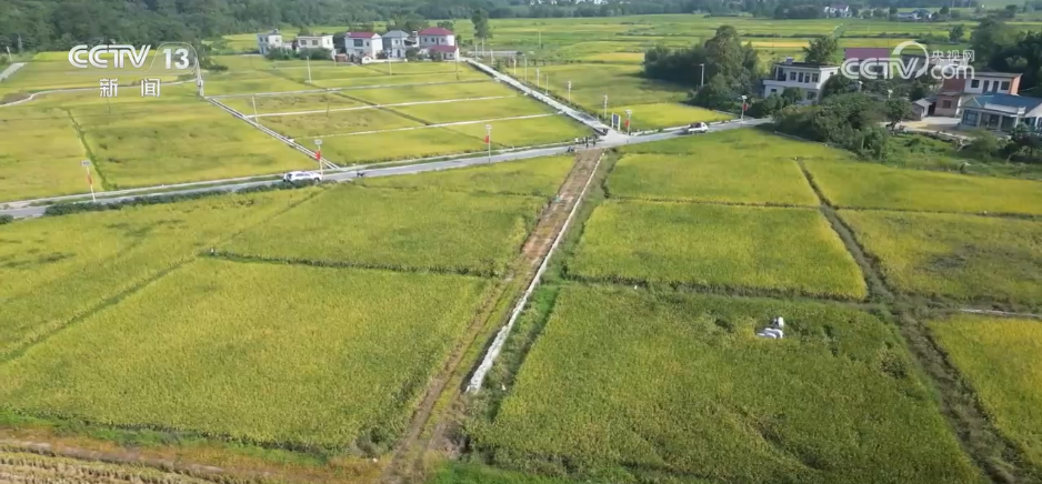 
天津眼科医院黄牛代挂号电话票贩子号贩子网上预约挂号,住院检查加快,稻菽飘香、果实累累 希望的田野上唱响金秋丰收“欢歌”