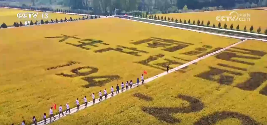 
中国人民解放军总医院黄牛代挂号电话票贩子号贩子网上预约挂号,住院检查加快,“丰收消费”打造农文旅融合新场景、新业态 打开田间地头增收新空间