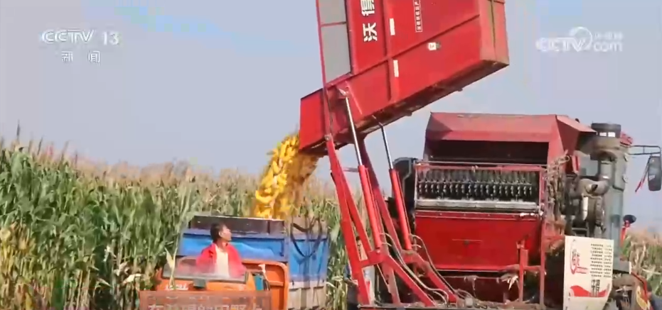 
天津眼科医院黄牛代挂号电话票贩子号贩子网上预约挂号,住院检查加快,稻菽飘香、果实累累 希望的田野上唱响金秋丰收“欢歌”