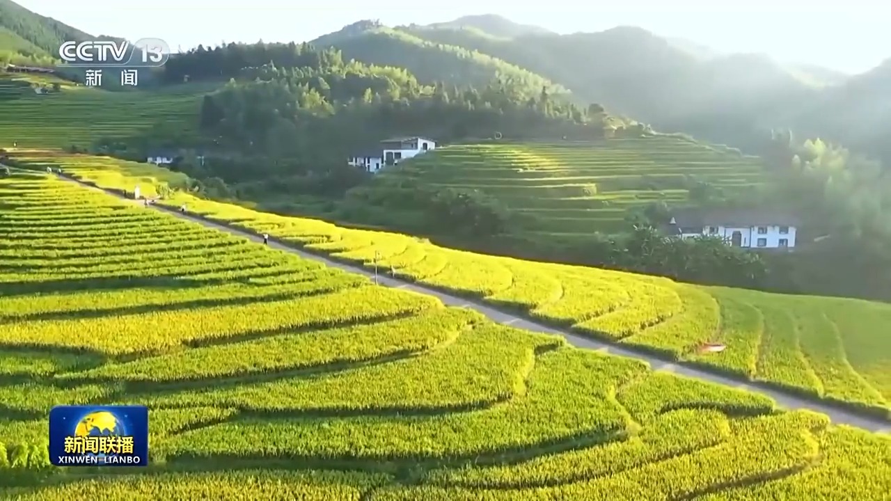 
杭州市富阳中医骨伤医院黄牛代挂号电话票贩子号贩子网上预约挂号,住院检查加快,新思想引领新征程丨绘就乡村全面振兴壮美画卷