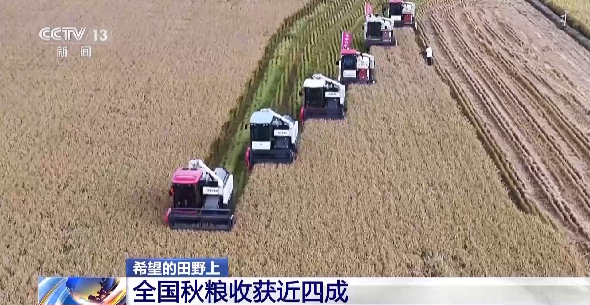 
首都医科大学附属北京妇产医院黄牛代挂号电话票贩子号贩子网上预约挂号,住院检查加快,一大批农产品正走向你的餐桌！全国秋粮收获近四成
