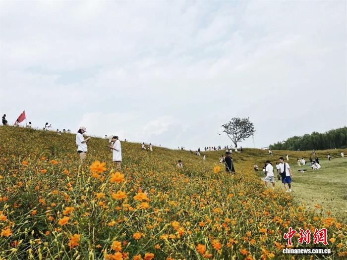 
中山大学孙逸仙纪念医院黄牛代挂号电话票贩子号贩子网上预约挂号,住院检查加快,（乡村行·看振兴）创意赋能玩法出新 长三角乡村游如何“热”起来？
