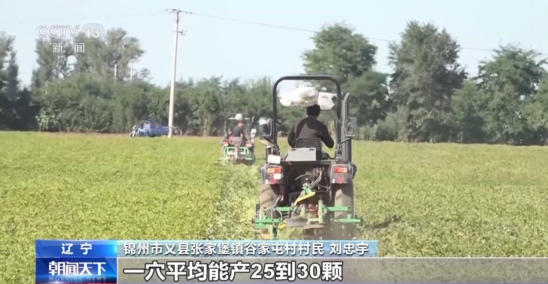 
首都医科大学附属北京妇产医院黄牛代挂号电话票贩子号贩子网上预约挂号,住院检查加快,一大批农产品正走向你的餐桌！全国秋粮收获近四成