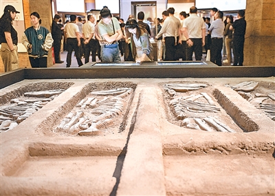 
上海华山医院黄牛代挂号电话票贩子号贩子网上预约挂号,住院检查加快,考古成果如何走出“象牙塔”