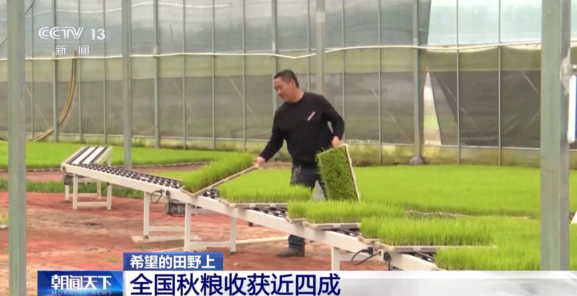 
首都医科大学附属北京妇产医院黄牛代挂号电话票贩子号贩子网上预约挂号,住院检查加快,一大批农产品正走向你的餐桌！全国秋粮收获近四成