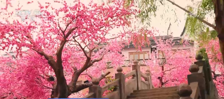 
广州儿童医院黄牛代挂号电话票贩子号贩子网上预约挂号,住院检查加快,活力旺、人气高、供应足 文旅消费热度攀升 “假日经济”活力满满