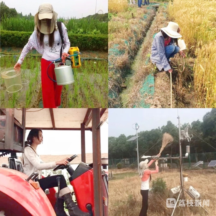 
北医六院黄牛代挂号电话票贩子号贩子网上预约挂号,住院检查加快,青春华章|江河奔腾·安澜有我：稻田里“非典型女教授”的节水答卷