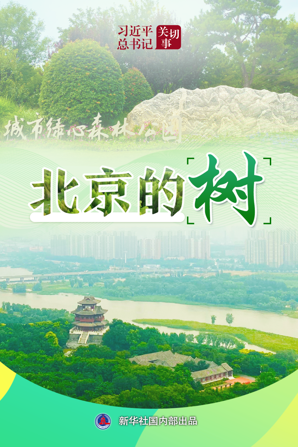 
杭州市妇幼保健院黄牛代挂号电话票贩子号贩子网上预约挂号,住院检查加快,习近平总书记关切事｜北京的树