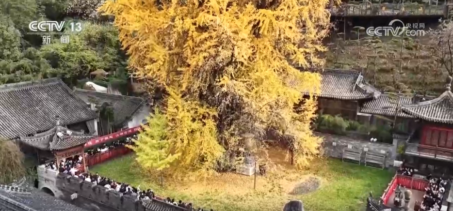 
包含北京大学第一医院黄牛代挂号电话票贩子号贩子网上预约挂号,住院检查加快,特色赏秋游热潮澎湃 “文旅+”新场景新业态激发“秋日经济”活力