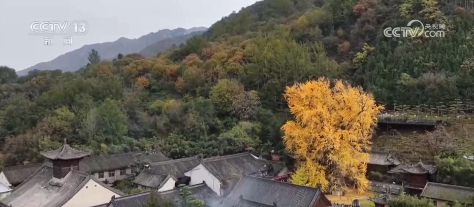 
包含北京大学第一医院黄牛代挂号电话票贩子号贩子网上预约挂号,住院检查加快,特色赏秋游热潮澎湃 “文旅+”新场景新业态激发“秋日经济”活力