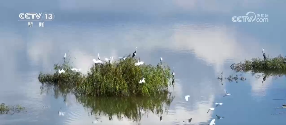 
包含北京大学第一医院黄牛代挂号电话票贩子号贩子网上预约挂号,住院检查加快,特色赏秋游热潮澎湃 “文旅+”新场景新业态激发“秋日经济”活力