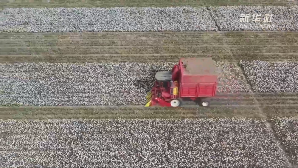 
北京大学第六医院黄牛代挂号电话票贩子号贩子网上预约挂号,住院检查加快,新疆：机械化为棉田生产赋能