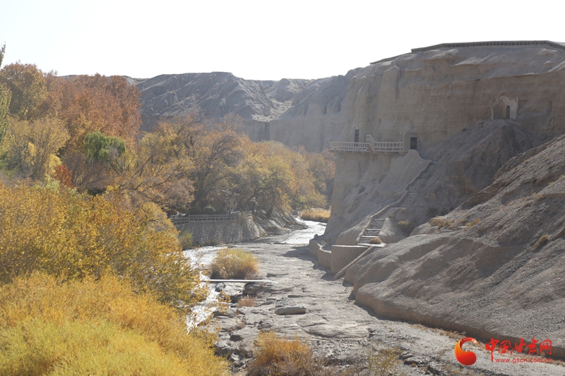 
天津各大医院黄牛代挂号电话票贩子号贩子网上预约挂号,住院检查加快,何以中国·壁画里的中国｜榆林窟壁画：古人的生活图鉴 “晒”出千年烟火气