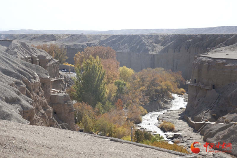 
天津各大医院黄牛代挂号电话票贩子号贩子网上预约挂号,住院检查加快,何以中国·壁画里的中国｜榆林窟壁画：古人的生活图鉴 “晒”出千年烟火气