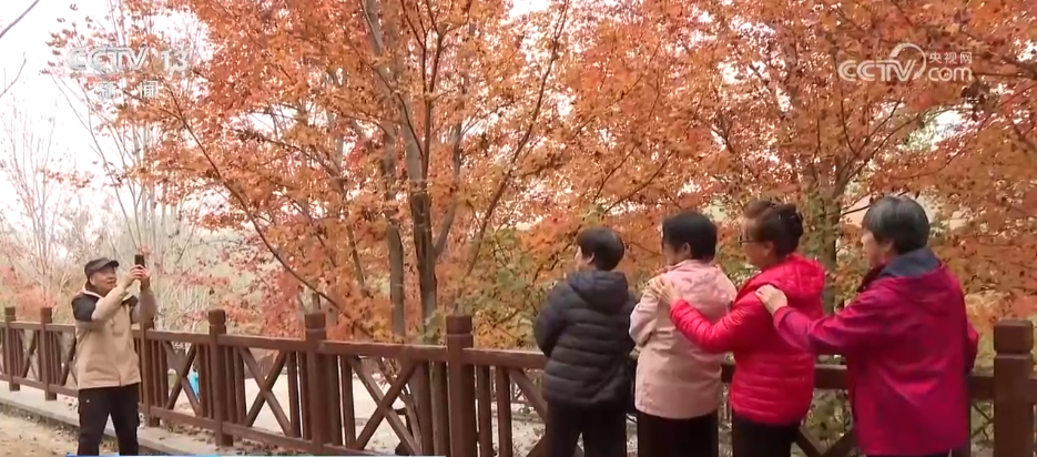 
包含北京大学第一医院黄牛代挂号电话票贩子号贩子网上预约挂号,住院检查加快,特色赏秋游热潮澎湃 “文旅+”新场景新业态激发“秋日经济”活力