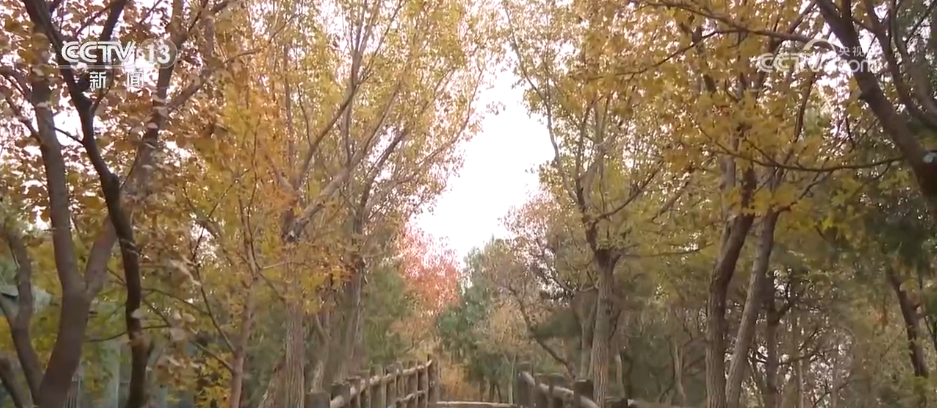 
包含北京大学第一医院黄牛代挂号电话票贩子号贩子网上预约挂号,住院检查加快,特色赏秋游热潮澎湃 “文旅+”新场景新业态激发“秋日经济”活力