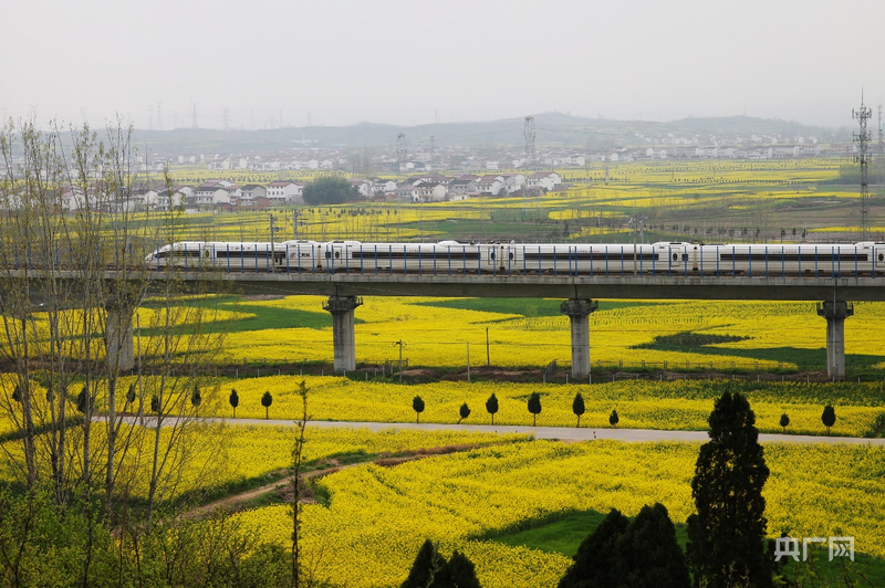 
北京302医院黄牛代挂号电话票贩子号贩子网上预约挂号,住院检查加快,发现最美铁路丨铁龙穿梭，织就粤东最美画卷