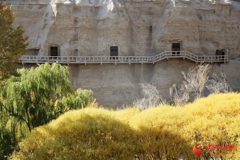 
天津各大医院黄牛代挂号电话票贩子号贩子网上预约挂号,住院检查加快,何以中国·壁画里的中国｜榆林窟壁画：古人的生活图鉴 “晒”出千年烟火气