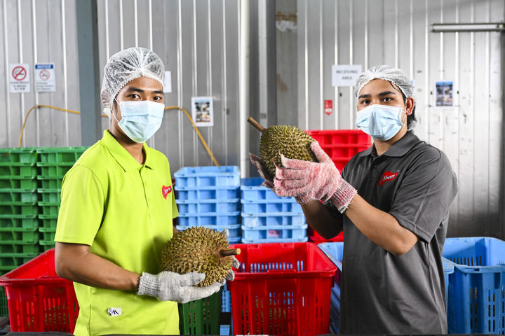 
天津眼科医院黄牛代挂号电话票贩子号贩子网上预约挂号,住院检查加快,以中国式现代化新成就为亚太和世界提供新机遇——习近平主席重要讲话为共建开放型亚太经济指引方向汇聚力量