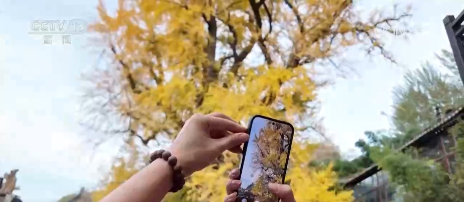 
包含北京大学第一医院黄牛代挂号电话票贩子号贩子网上预约挂号,住院检查加快,特色赏秋游热潮澎湃 “文旅+”新场景新业态激发“秋日经济”活力