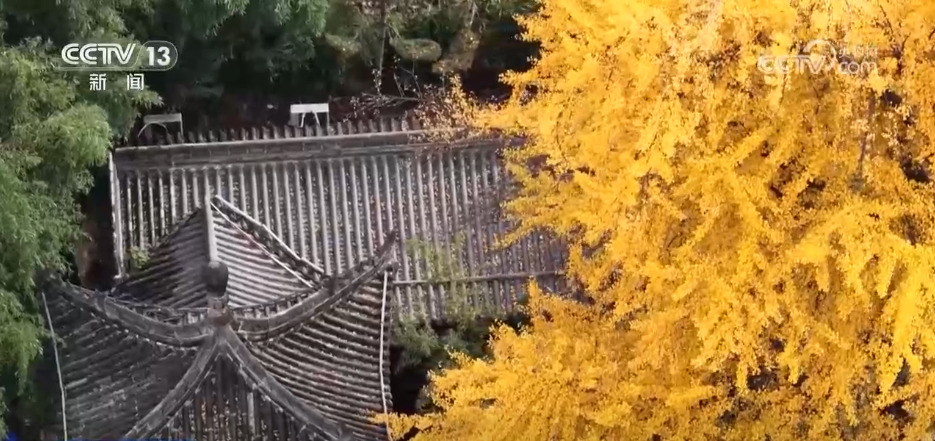 
包含北京大学第一医院黄牛代挂号电话票贩子号贩子网上预约挂号,住院检查加快,特色赏秋游热潮澎湃 “文旅+”新场景新业态激发“秋日经济”活力