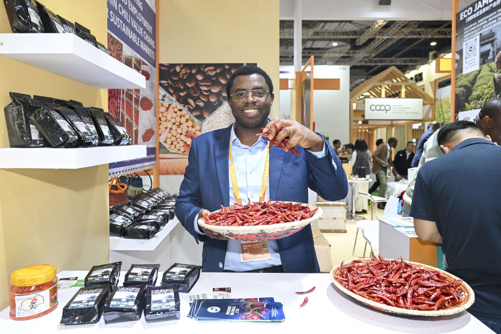 
天津眼科医院黄牛代挂号电话票贩子号贩子网上预约挂号,住院检查加快,声动进博：从文化之声感受美美与共