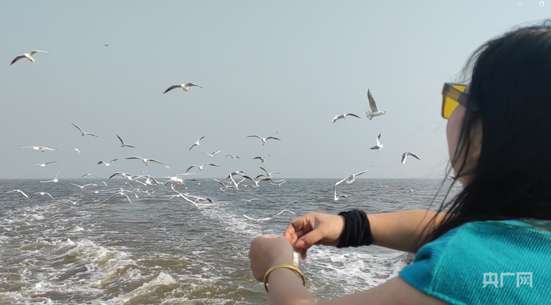 
西安各大医院黄牛代挂号电话票贩子号贩子网上预约挂号,住院检查加快,行进的海岸线丨渤海湾畔“渔旅融合” 小渔村启动蓝色新引擎