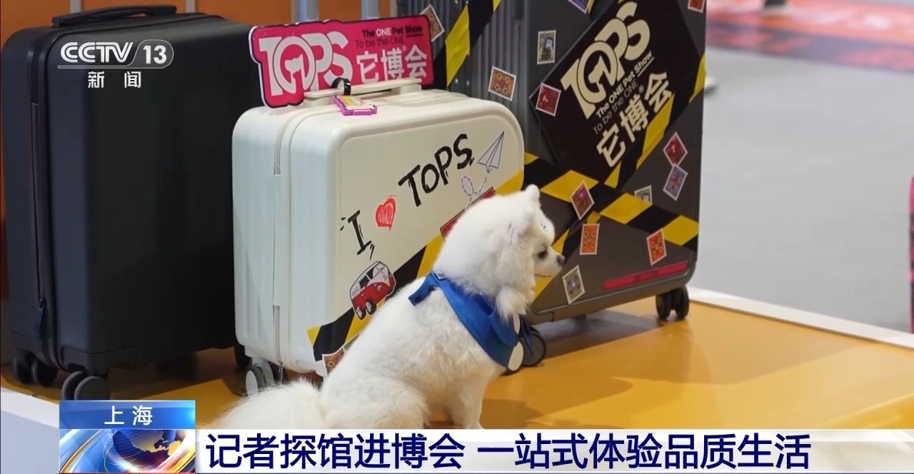 
南方医科大学中西医结合医院黄牛号贩子票贩子代网上预约代挂号电话视频丨探馆进博会 解锁品质生活+“中西合璧”创意