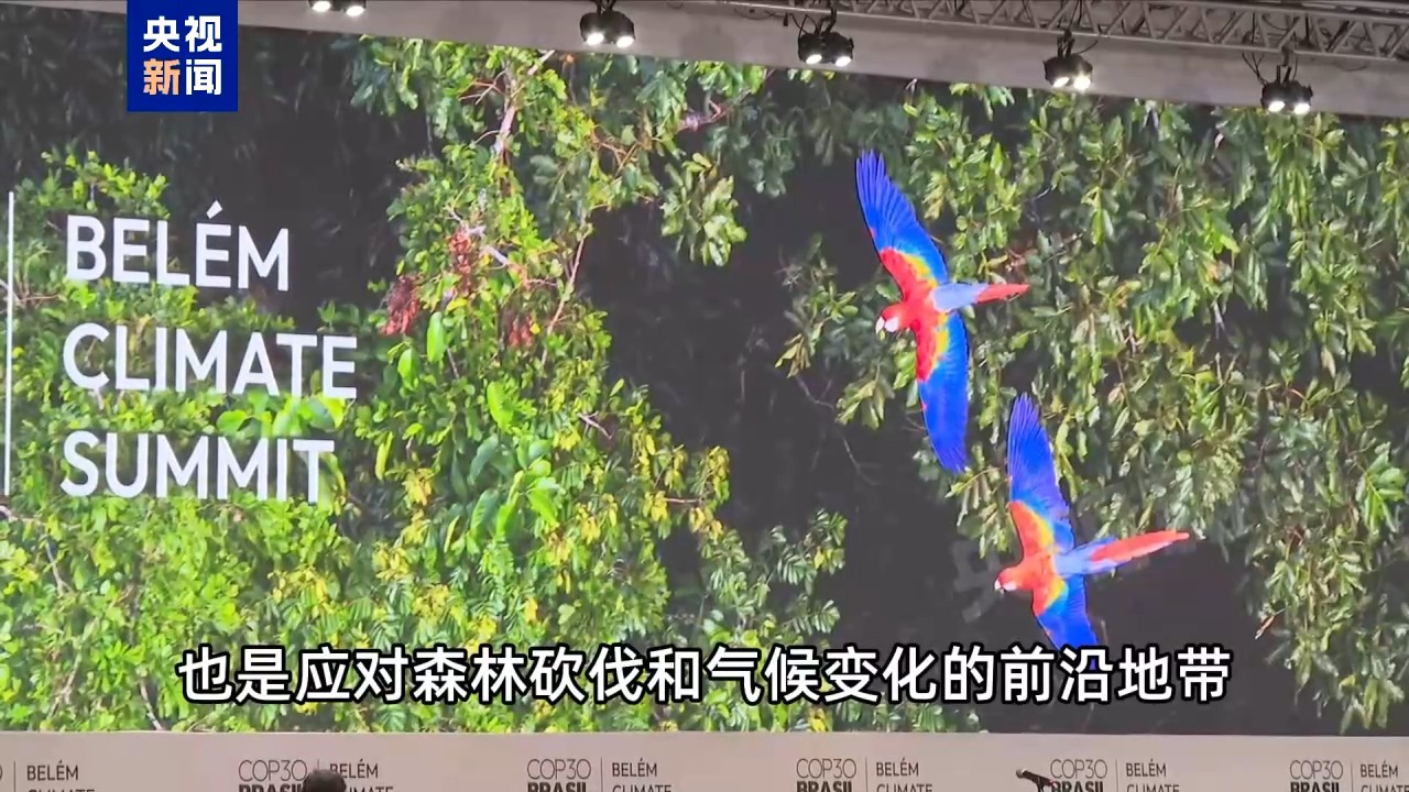 
中国中医科学院望京医院黄牛代挂号电话票贩子号贩子网上预约挂号,住院检查加快,记者Vlog丨探访COP30媒体中心 这里的“亚马孙含量”有点高