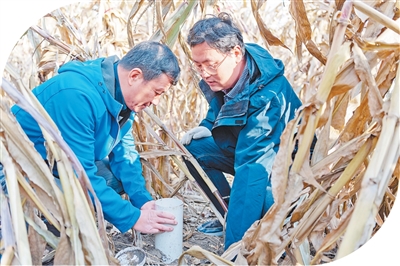 
广州中山三医院黄牛代挂号电话票贩子号贩子网上预约挂号,住院检查加快,知农爱农 强农报国