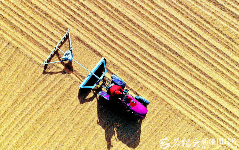 
北京宣武医院黄牛代挂号电话票贩子号贩子网上预约挂号,住院检查加快,奋进的新疆·我们的“十四五”丨从“自己吃饱”到供给国家