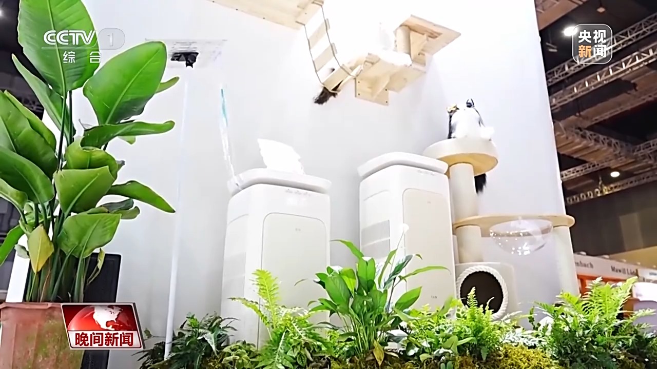 
杭州市七医院黄牛代挂号电话票贩子号贩子网上预约挂号,住院检查加快,视频丨全球企业深耕中国 进博会印证“开放的大门越开越大”