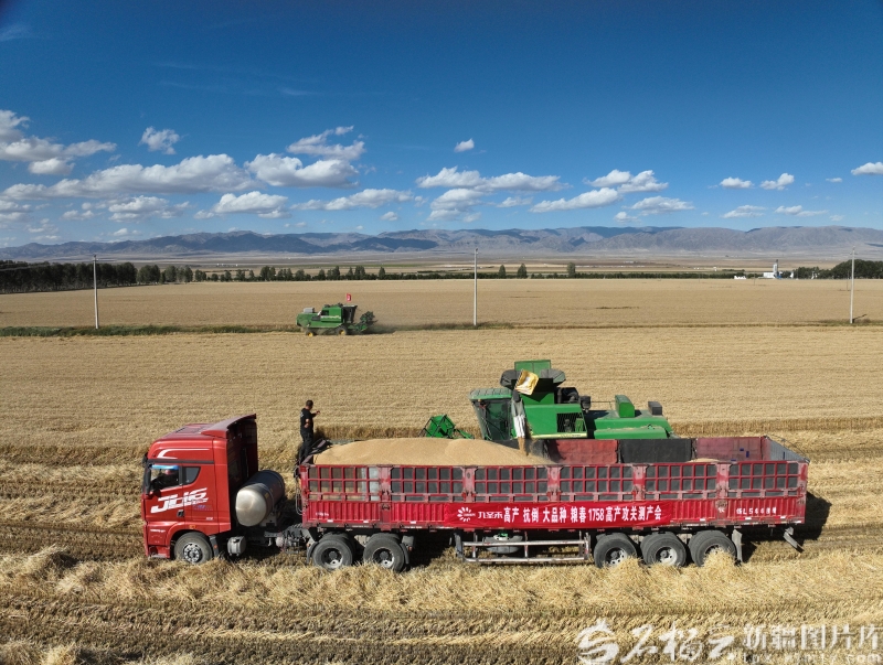 
北京宣武医院黄牛代挂号电话票贩子号贩子网上预约挂号,住院检查加快,奋进的新疆·我们的“十四五”丨从“自己吃饱”到供给国家